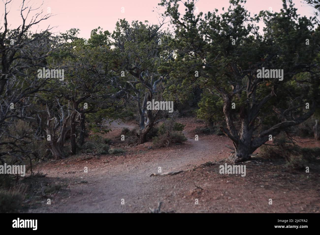 Southern Rim Grand Canyon views-South Rim Stock Photo - Alamy