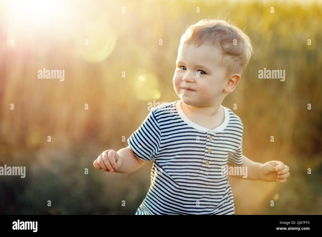Portrait of a smiling little boy in the background of golden rye in evening light. Stock Photo