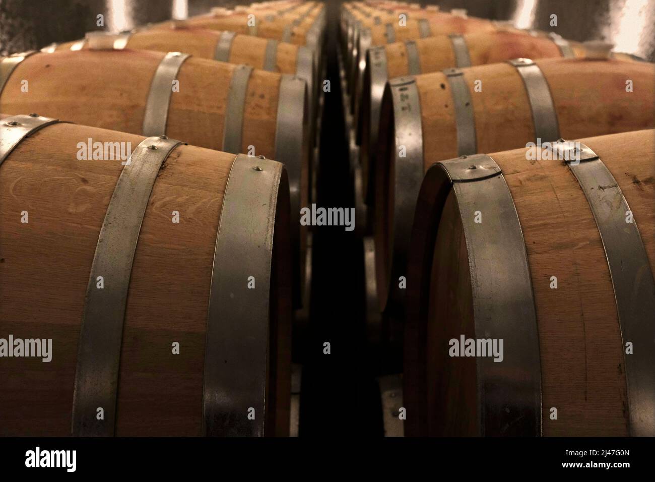 Wine Barrels in Wine Cellar Stock Photo