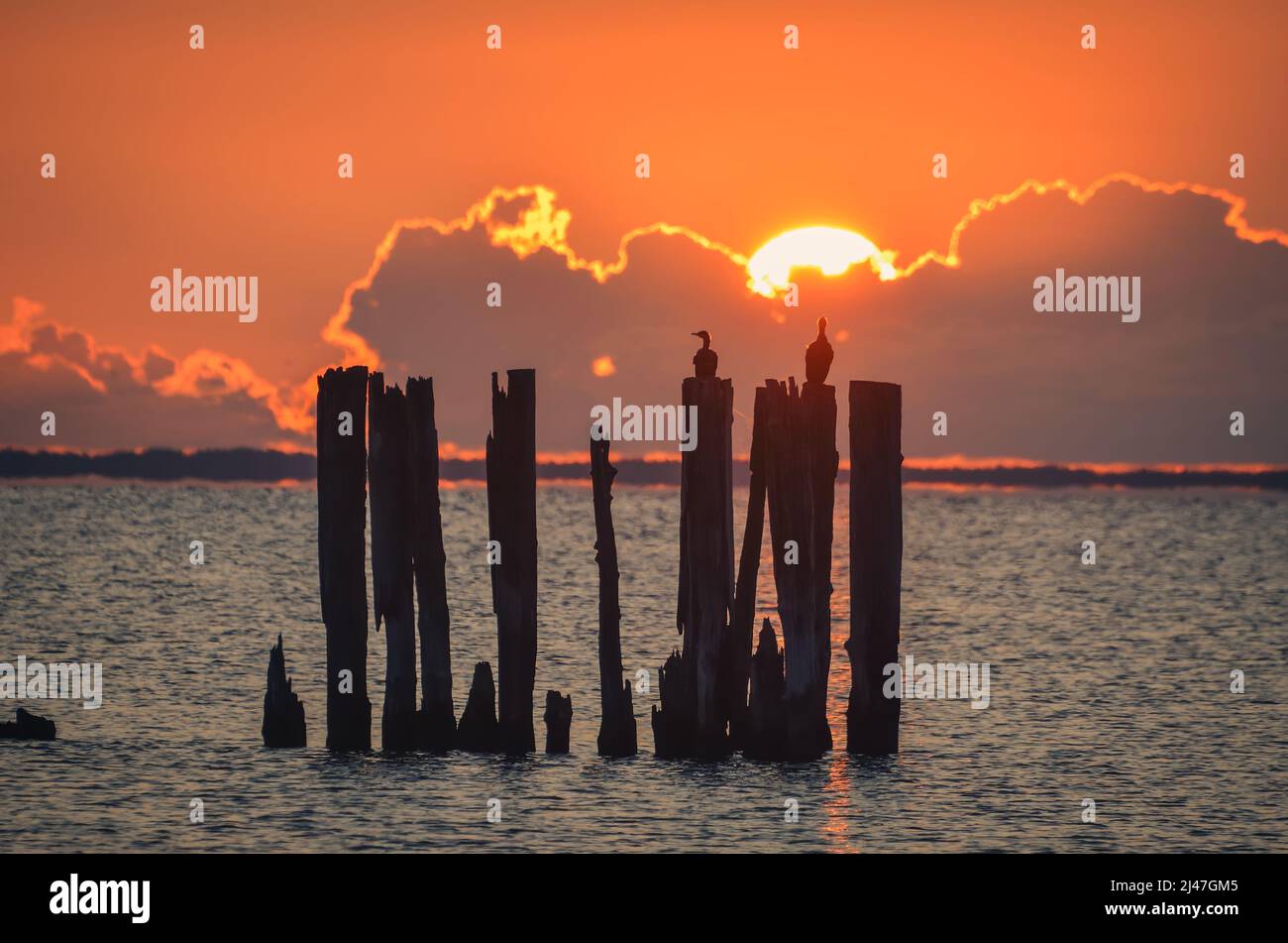 Beautiful evening seaside view. Wooden boles at the Polish seaside with the evening sun in the background. Stock Photo