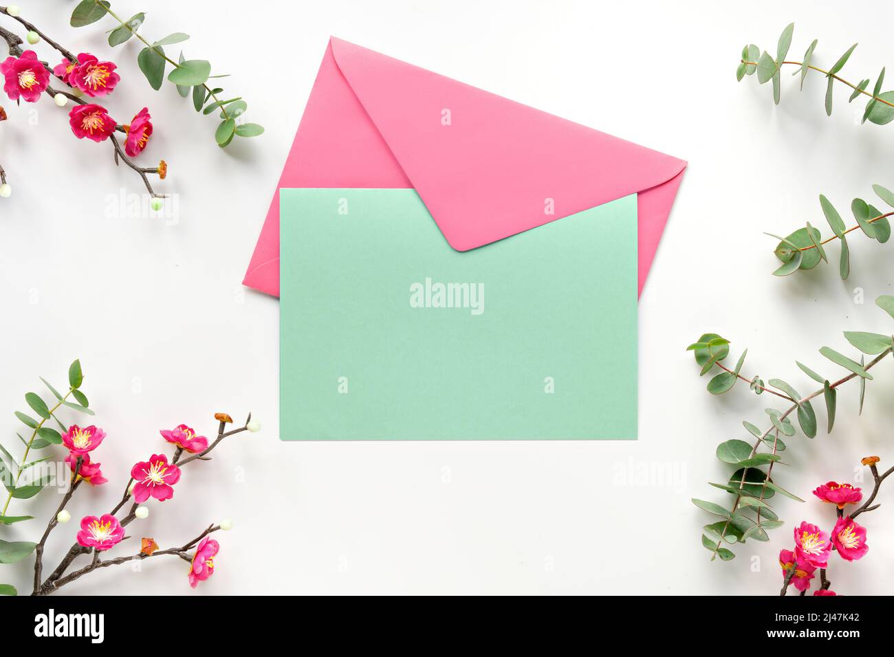 Blank postcard with envelope. Pink plum flowers, fresh eucalyptus leaves and twigs. Top view on off white background. Stock Photo