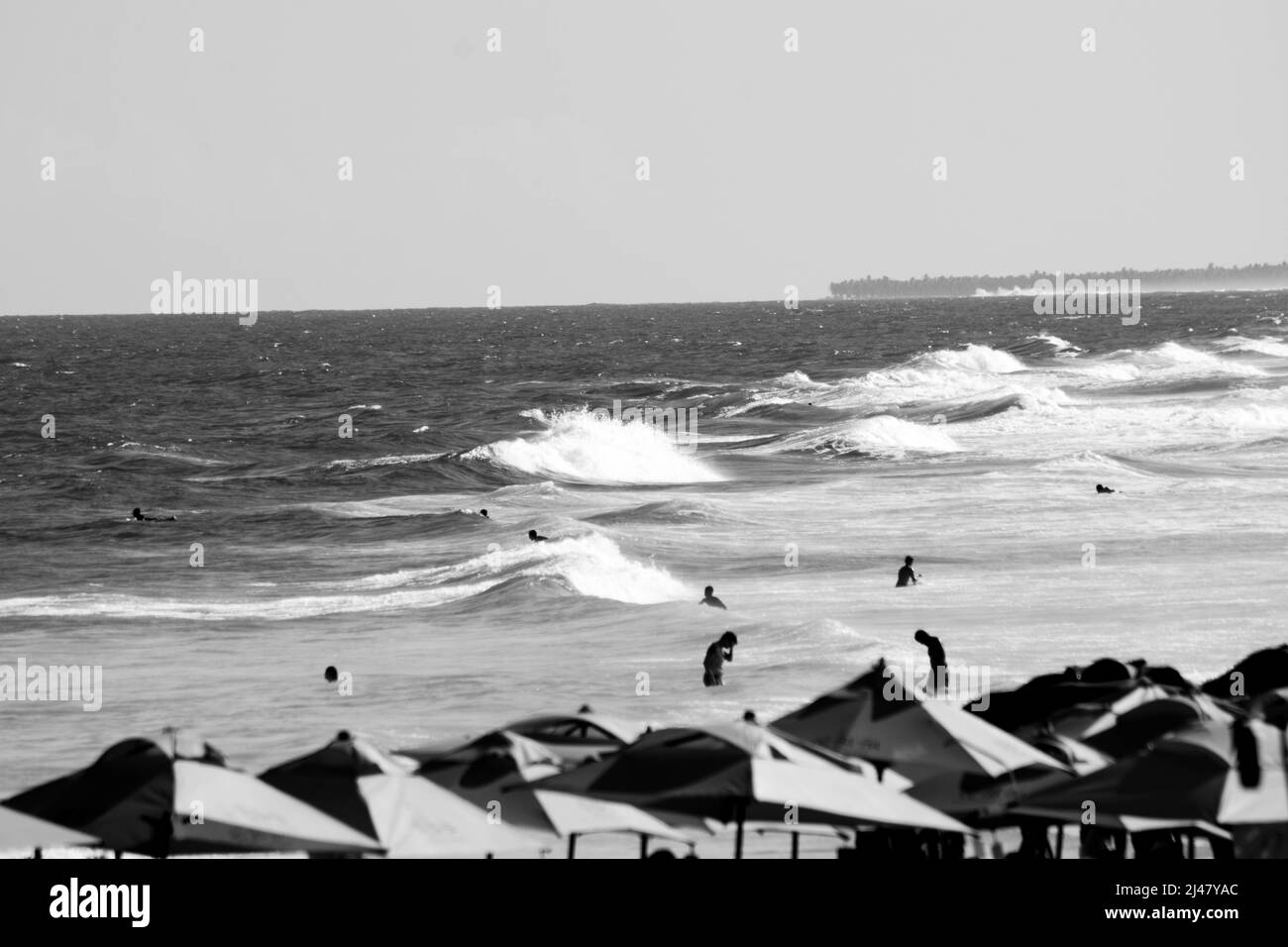 BEACHES OF BRAZIL Stock Photo