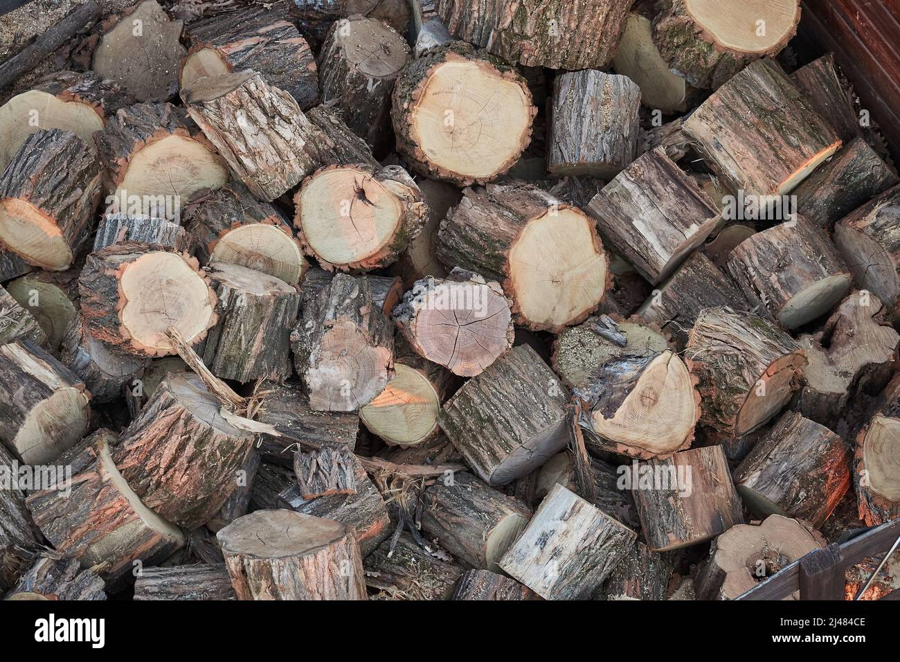Wood Pile Closeup Stock Photo