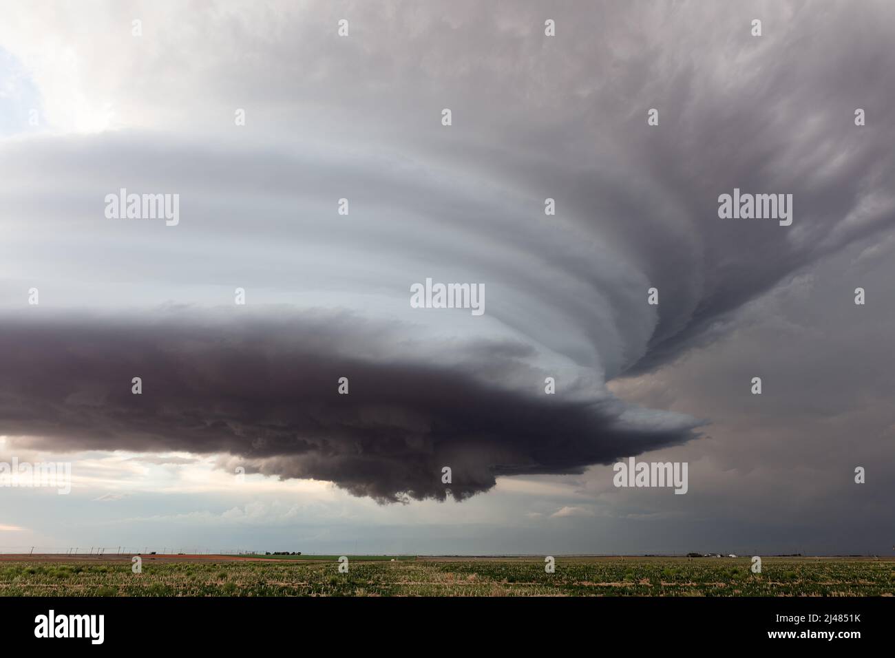 Supercell thunderstorm clouds over a field near Earth, Texas Stock Photo