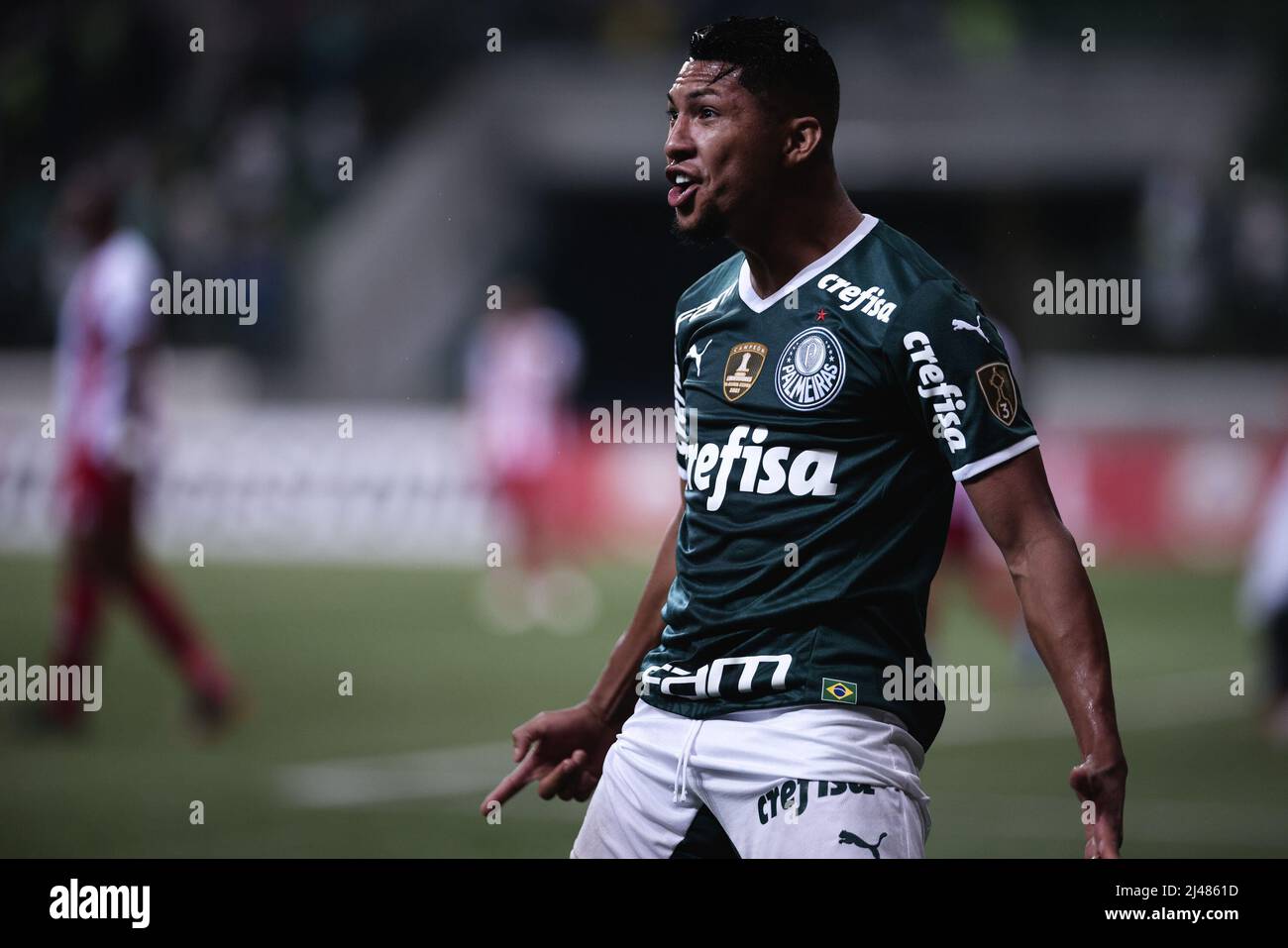 Rony palmeiras hi-res stock photography and images - Page 5 - Alamy