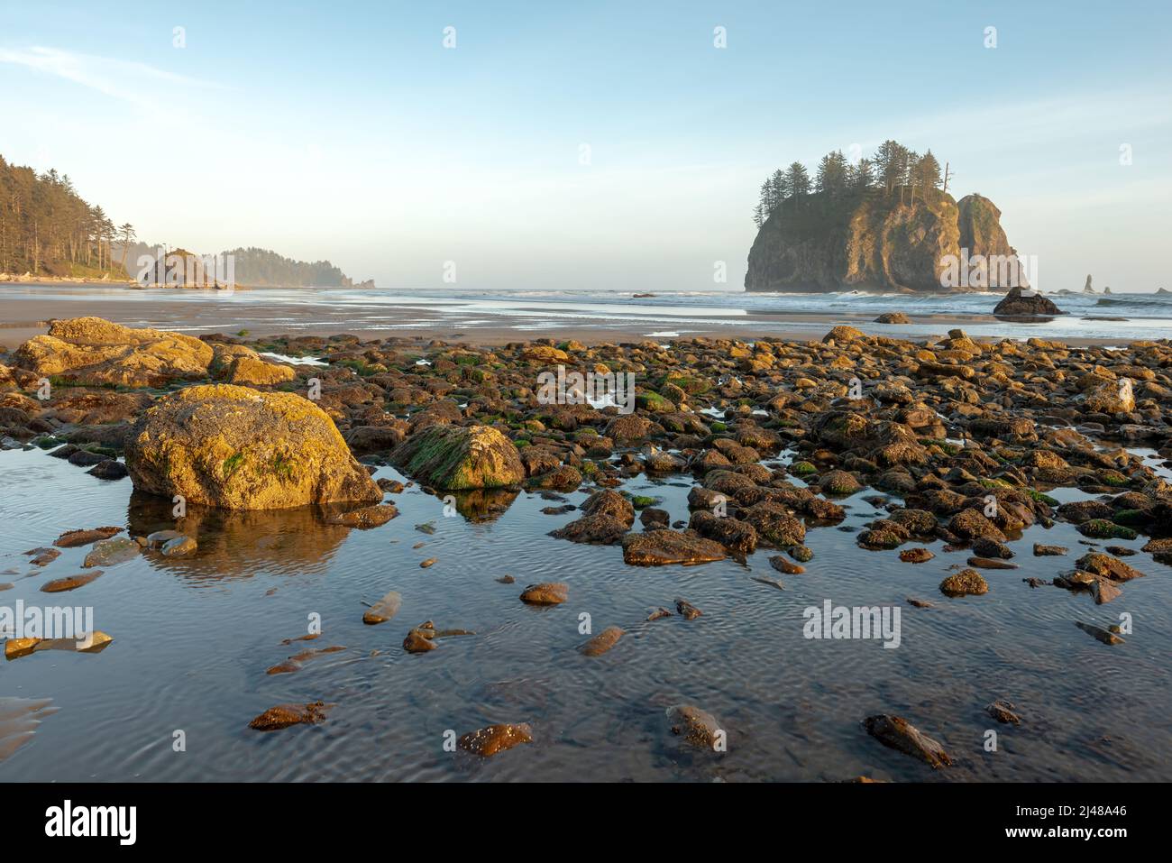 Low tide and sea stacks at beach on the Washington coast Stock Photo