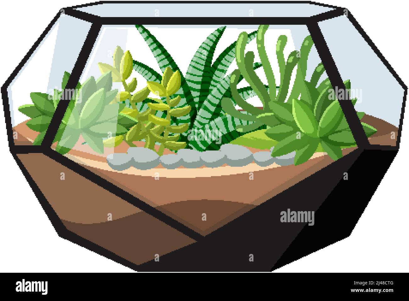 Cute glass geometric terrariums with succulents on white background