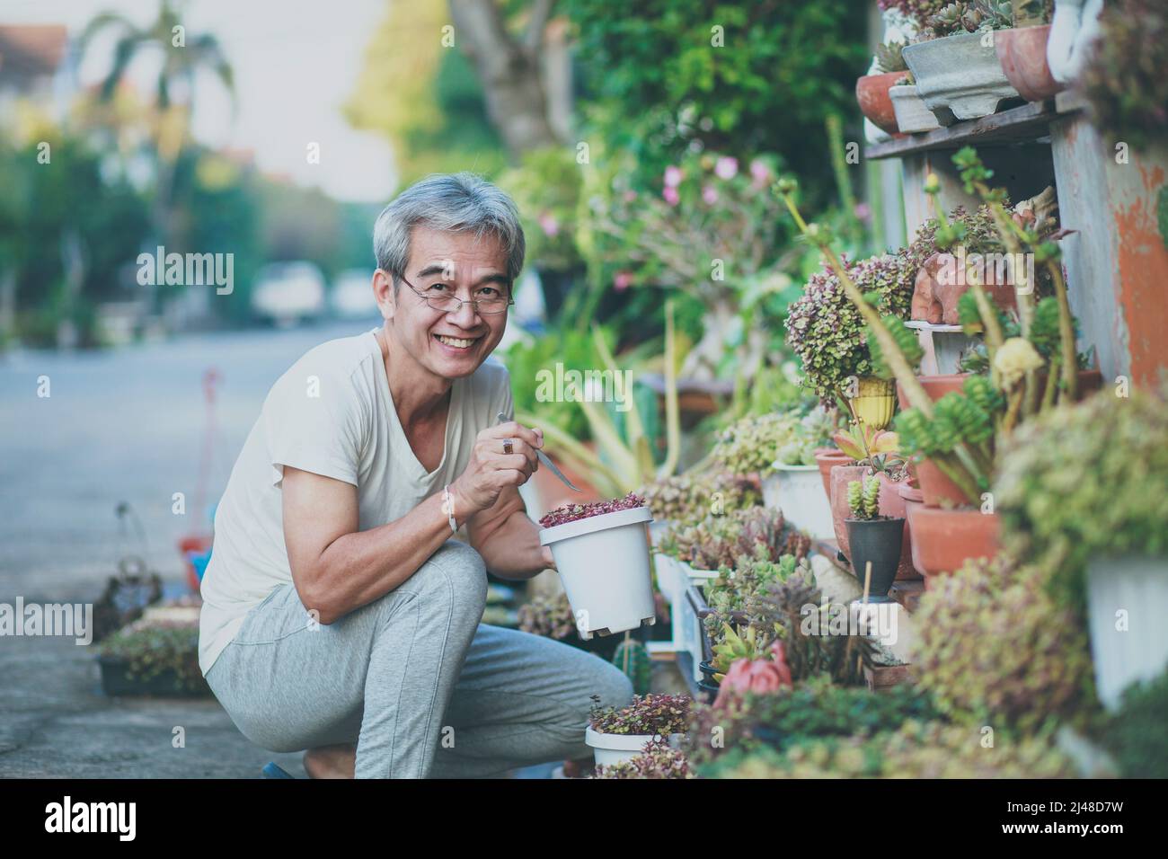 asian old man taking care of houseplant at home garden Stock Photo