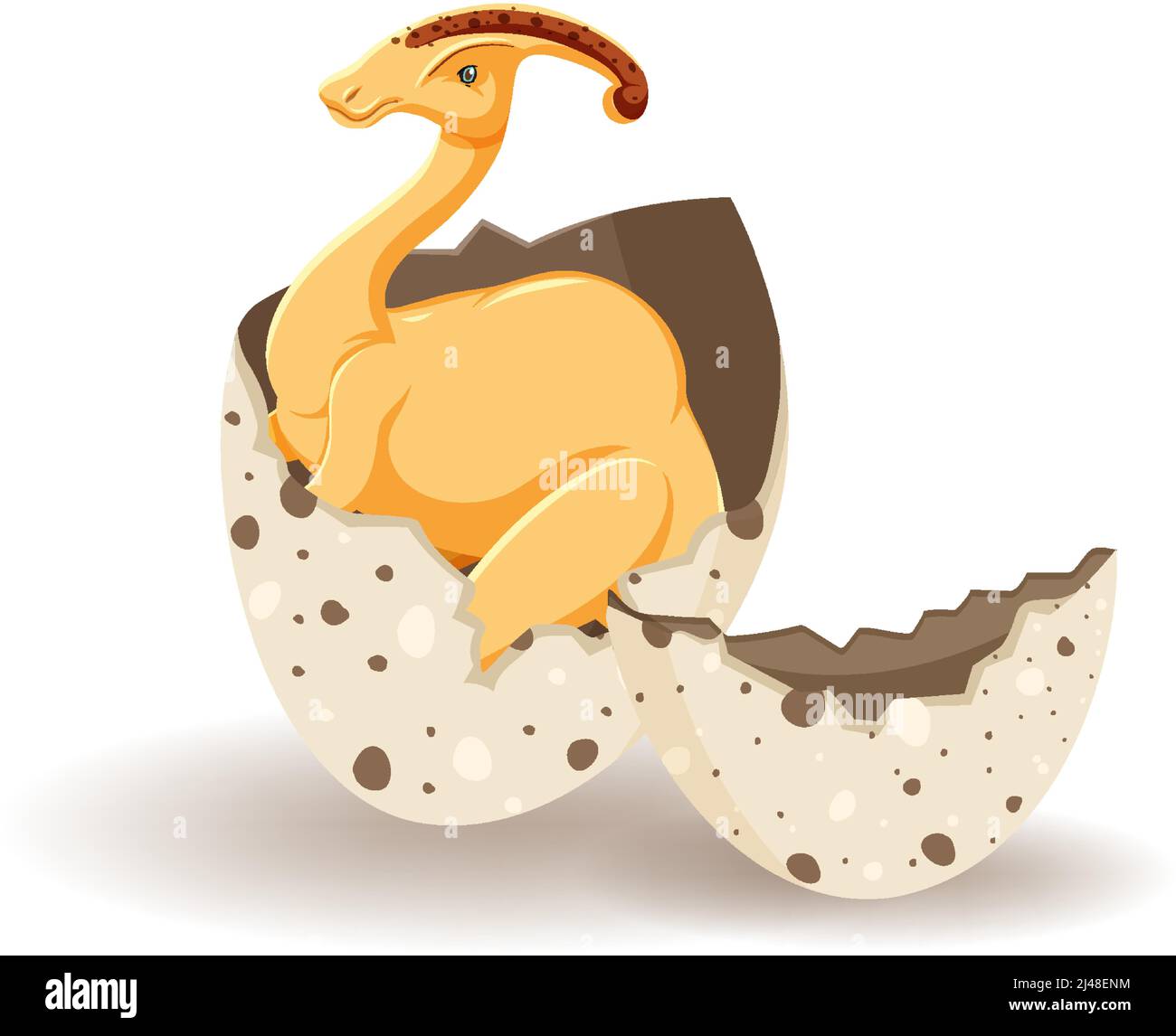 Parasaurolophus hatching from egg illustration Stock Vector Image & Art ...
