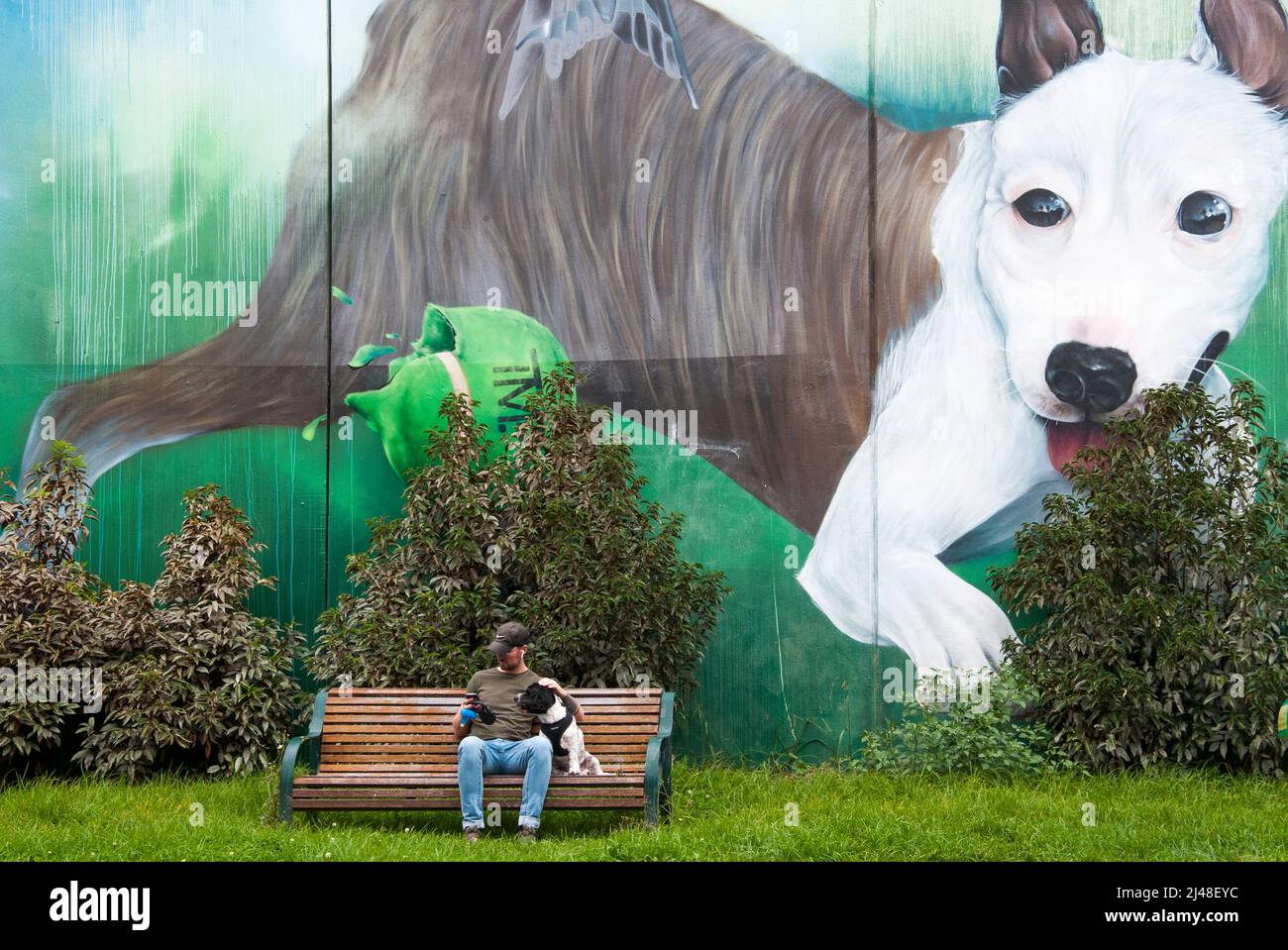 Dog mural by street artist 'Sugar' at Porter Street in inner-city Prahran, Melbourne, looms above a small dog and his master seated on a park bench. Stock Photo