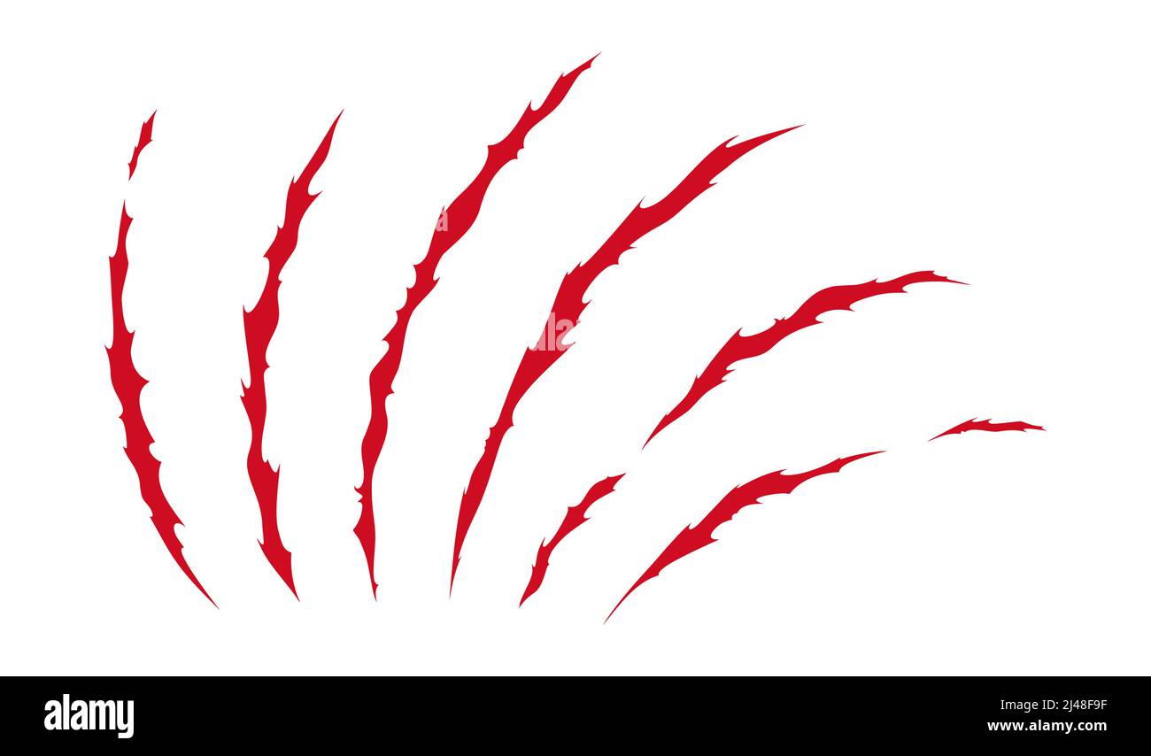 Claw scratches of wild animal. Red cat scratches marks isolated in