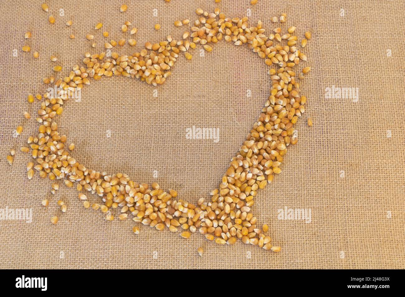 Raw heart-shaped popcorn grains on hessian background Stock Photo