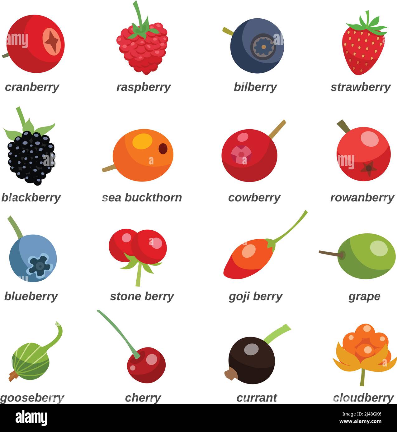 Berries colored icons set with inscription including currant grape
