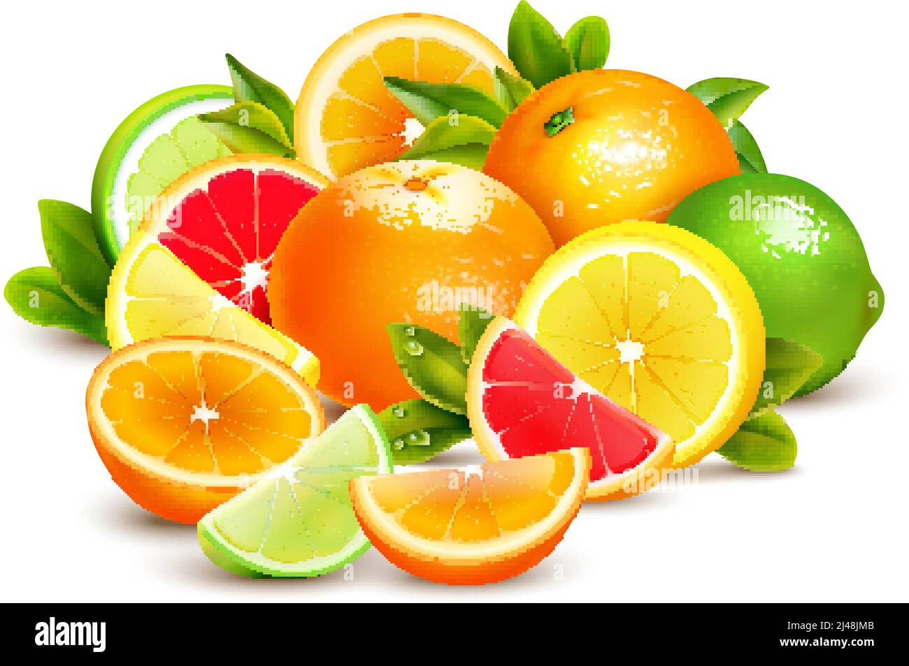 Citrus fruit whole halves and quarters colorful composition with lime lemon grapefruit and oranges realistic vector illustration Stock Vector