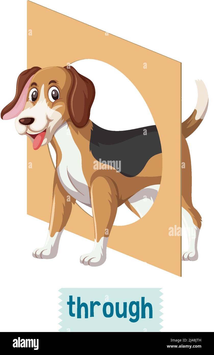 Preposition of place with cartoon dog and a box illustration Stock Vector  Image & Art - Alamy