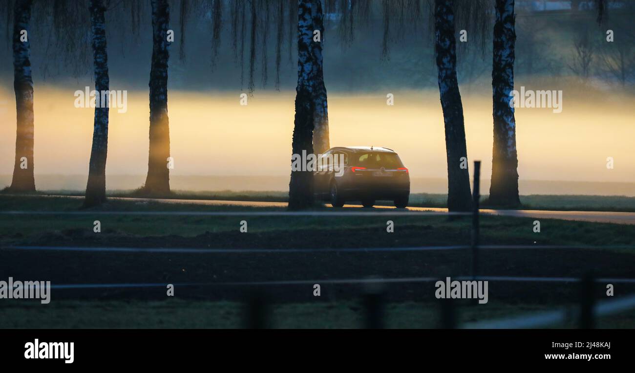 Munderkingen, Germany. 13th Apr, 2022. A car drives through an avenue of birch trees in the morning. In the background, the morning fog looks yellowish due to the sun and the Sahara dust in the air. Credit: Thomas Warnack/dpa/Alamy Live News Stock Photo