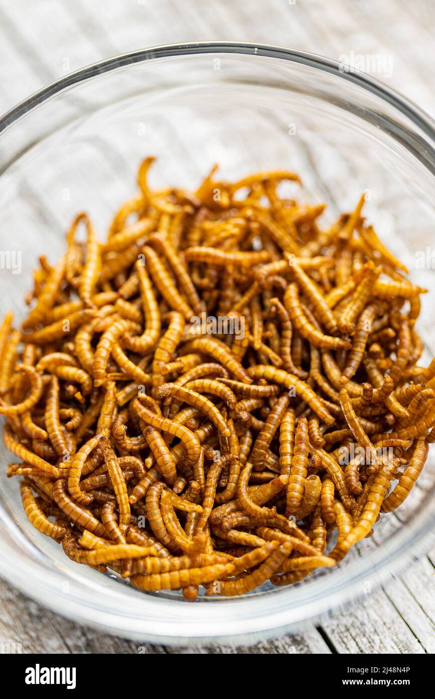 Asian eating worm hires stock photography and images Alamy