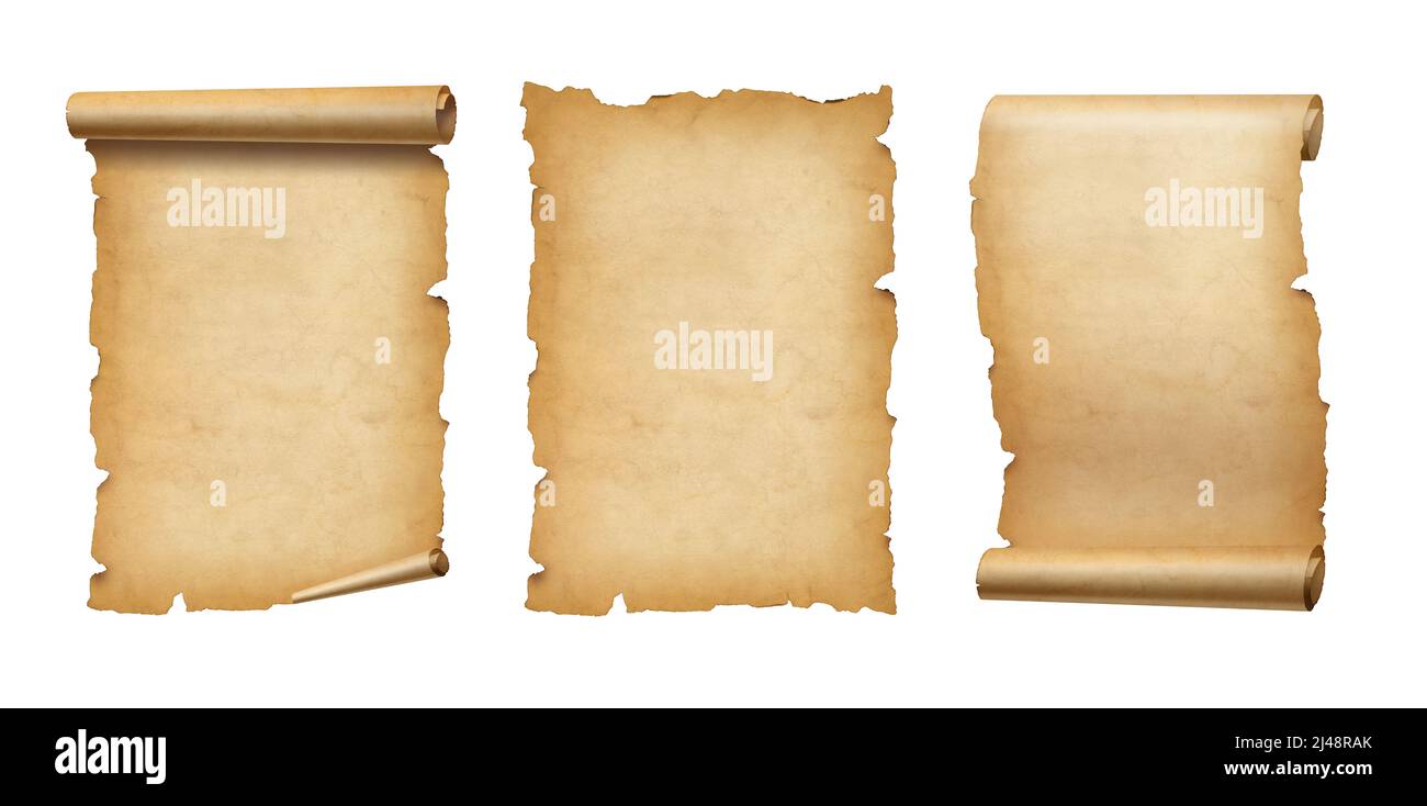 Old Parchment paper scroll isolated on white. Vertical banners set ...