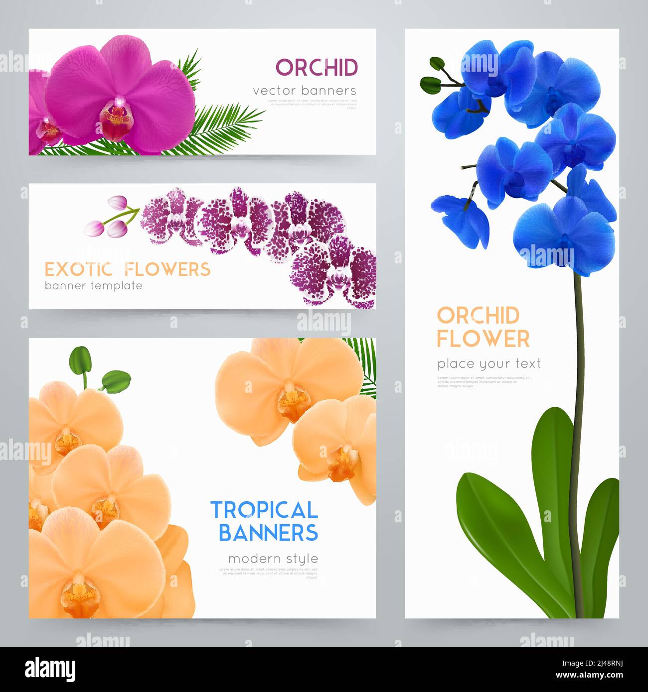 Blooming orchid plants 4 tropical botanic banners collection with exotic colorful flowers realistic isolated vector illustration Stock Vector