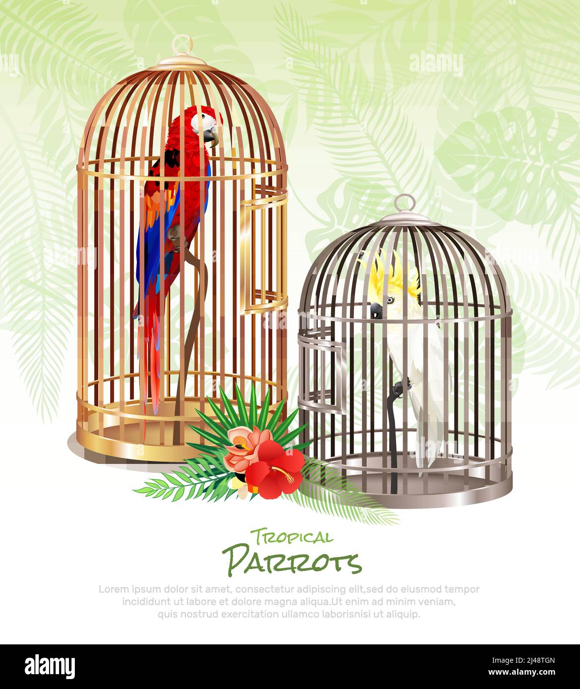 Bird market parrots poster with realistic images of rare birds in cumbersome cages with editable text vector illustration Stock Vector