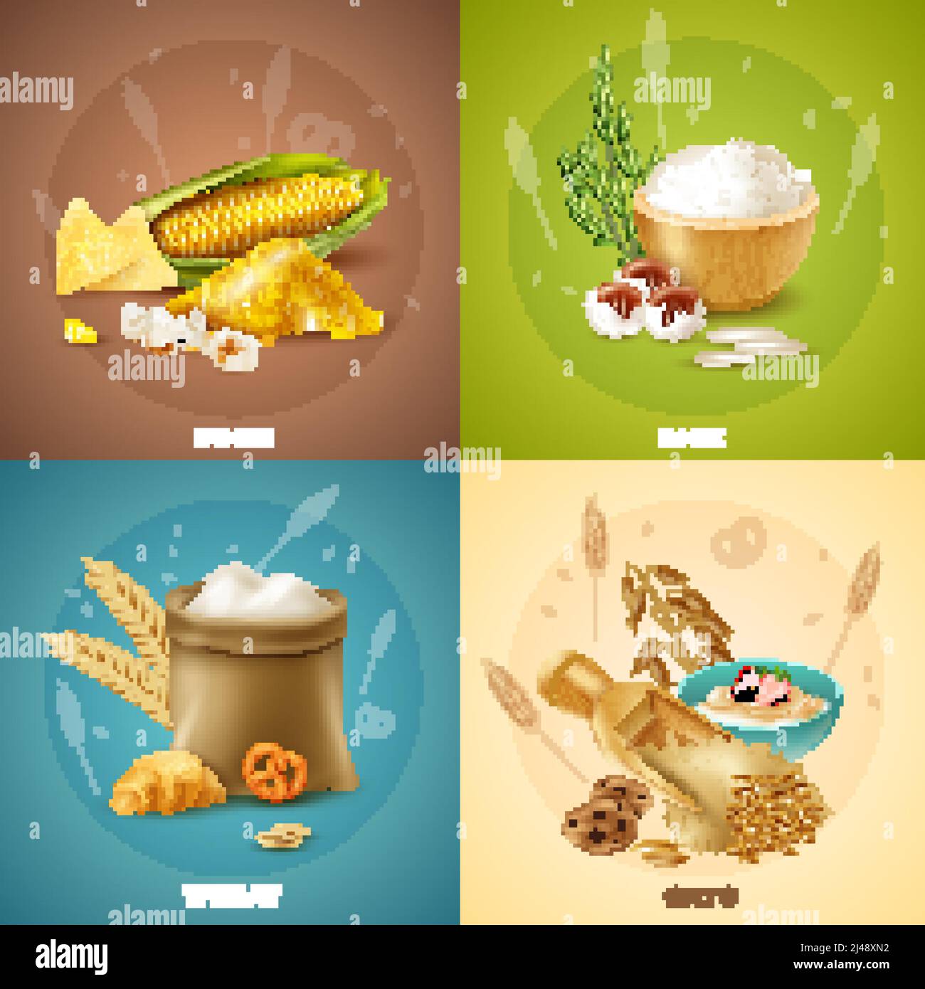 Four isolated cereals design concept or icon set with corn rice wheat and oats descriptions