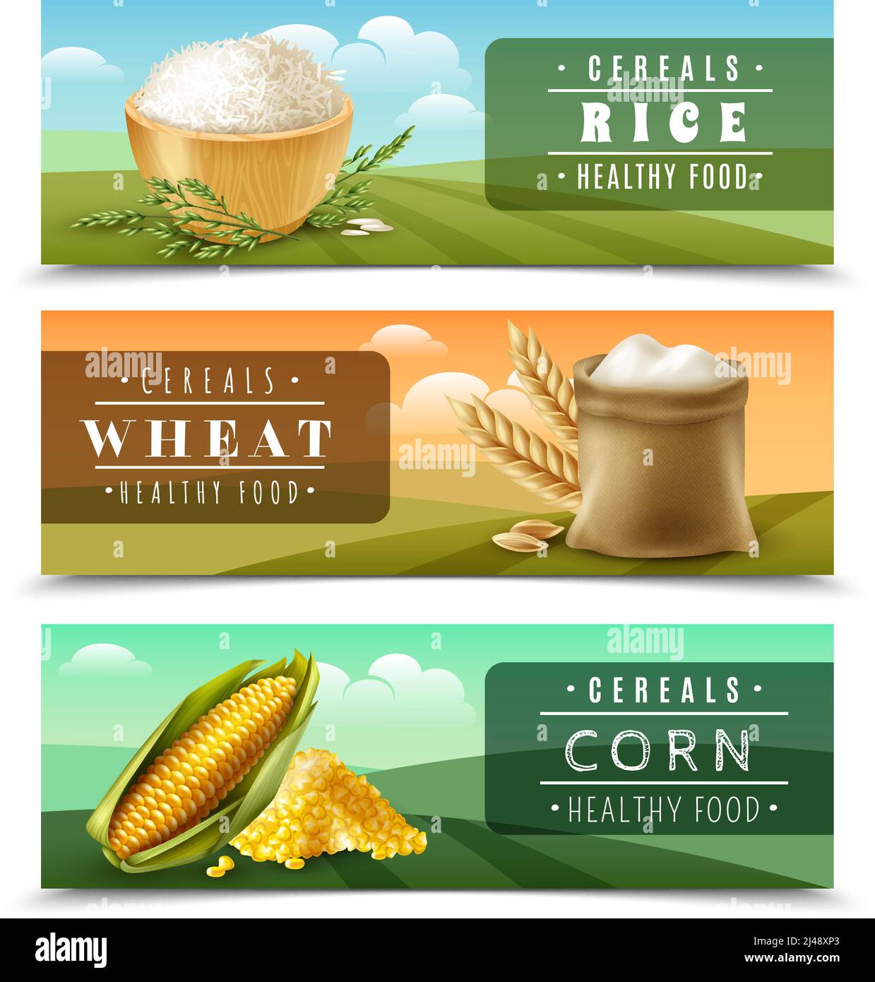 Three horizontal cereals banner set with rice wheat and corn healthy food descriptions vector