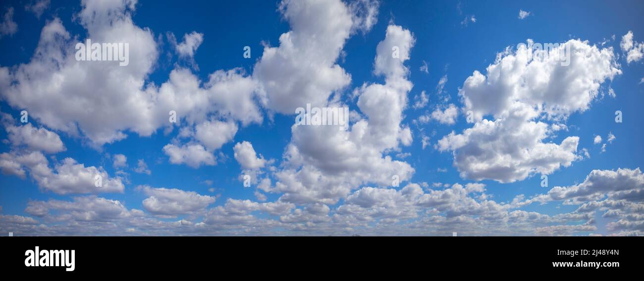 Panorama of blue sky with white fluffy clouds Stock Photo - Alamy