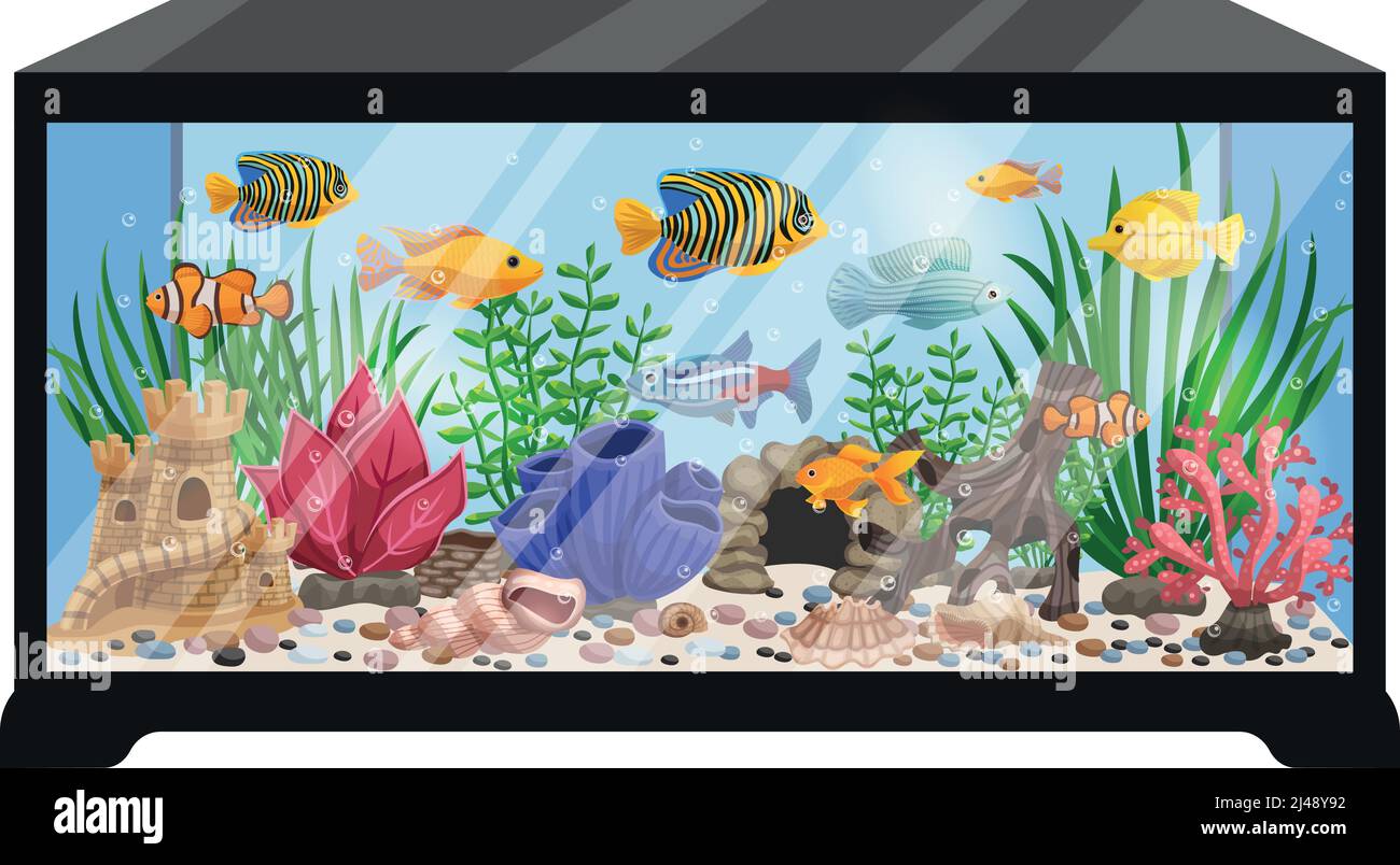 Aquarium tank cartoon vector illustration with swimming exotic freshwater fishes seashells seaweeds  equipment and accessories Stock Vector