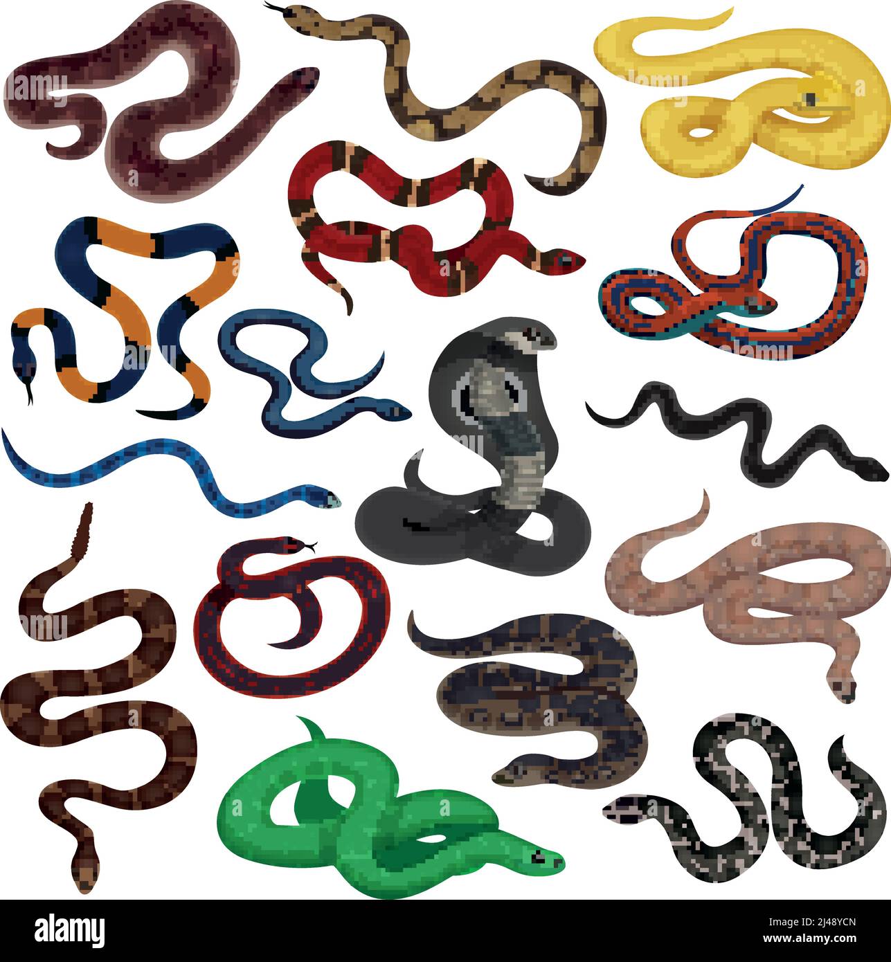 Reptiles decorative icons set of venomous snake creatures of different