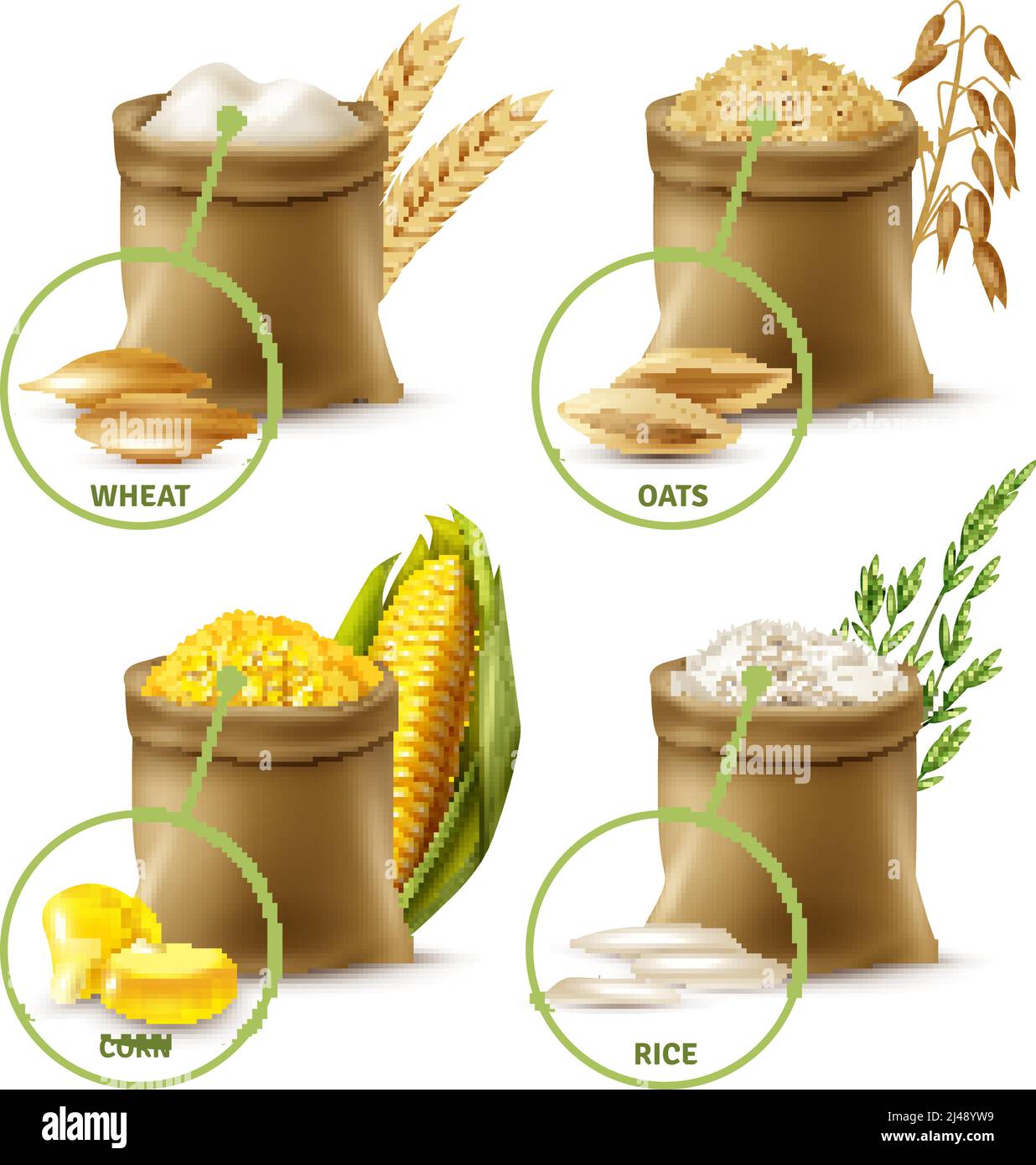 Set of agricultural cereals including sacks with wheat flour, oat, corn