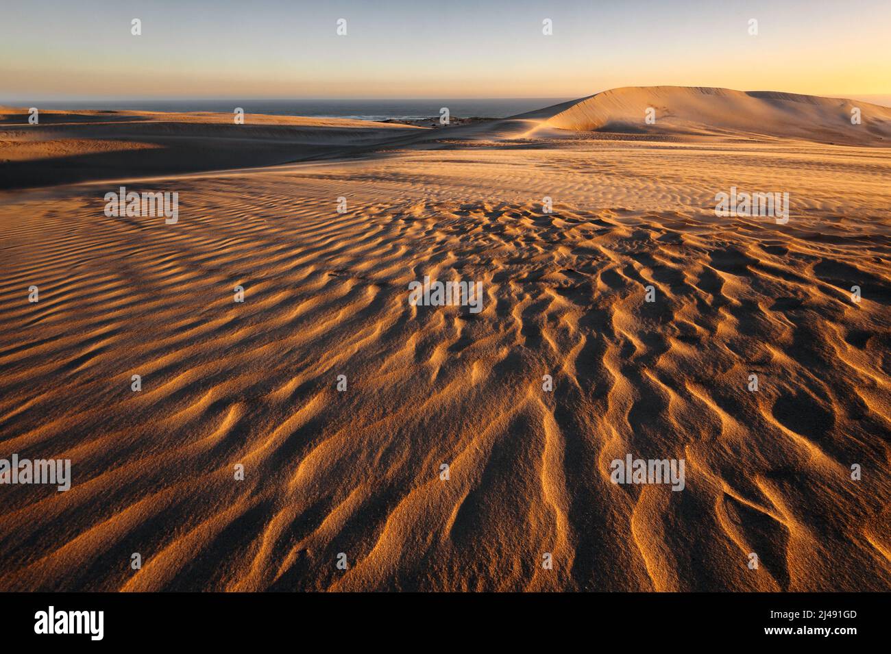 Spectacular Gunyah Beach Dunes in the last light of the day. Stock Photo