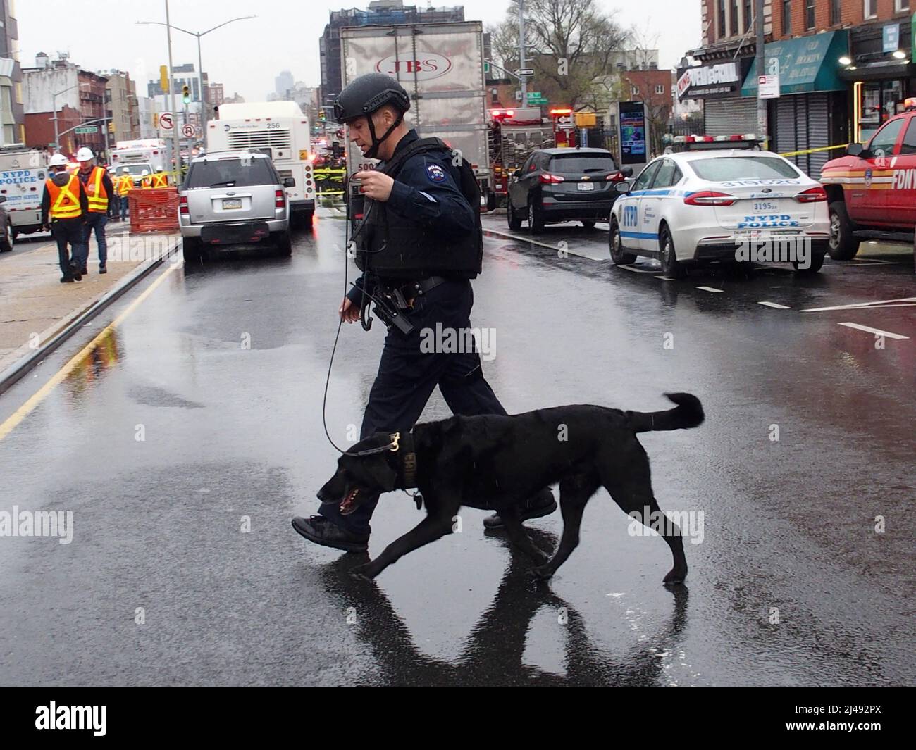 April 12, 2022, Brooklyn, New York, USA: Police dog works after the mass shooting on New York City subway train. The police said, a heavyset, dark-skinned man dressed in a Neon Green Construction Workers Vest and construction helmet donned a gas mask, as a crowded northbound N train approached the 36th Street station in Sunset Park, at 8.24 AM EST. Tossed two smoke grenades on the floor of the car, and began firing his .380 pistol shooting passengers. Thirty-three shots later, he fled. Injuring at least 10 people from gun fire. 19 more passengers were injured escaping the crime scene. NYPD per Stock Photo