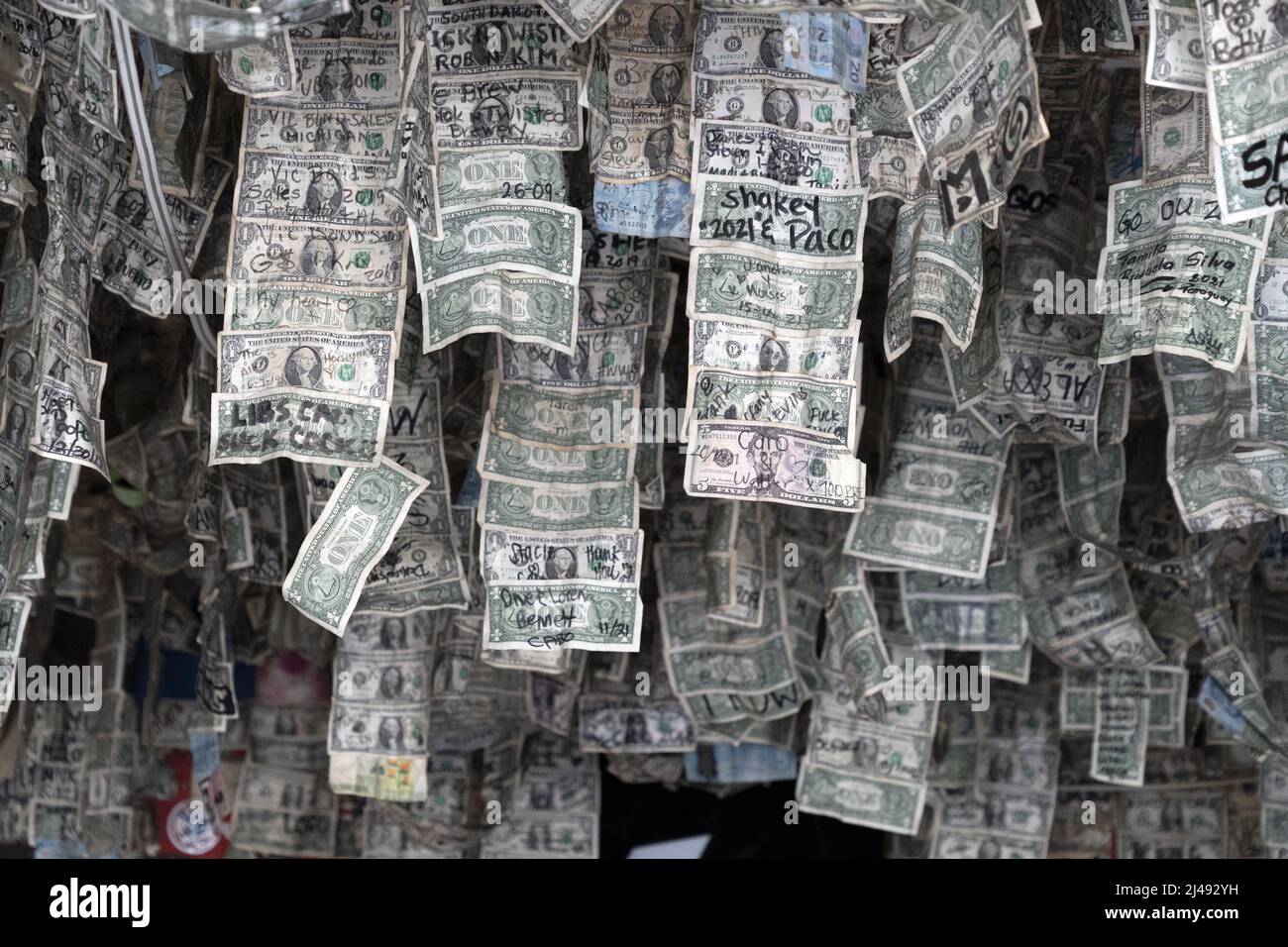 Many signed us dollars hanging from ceiling in mexican baja california bar Stock Photo