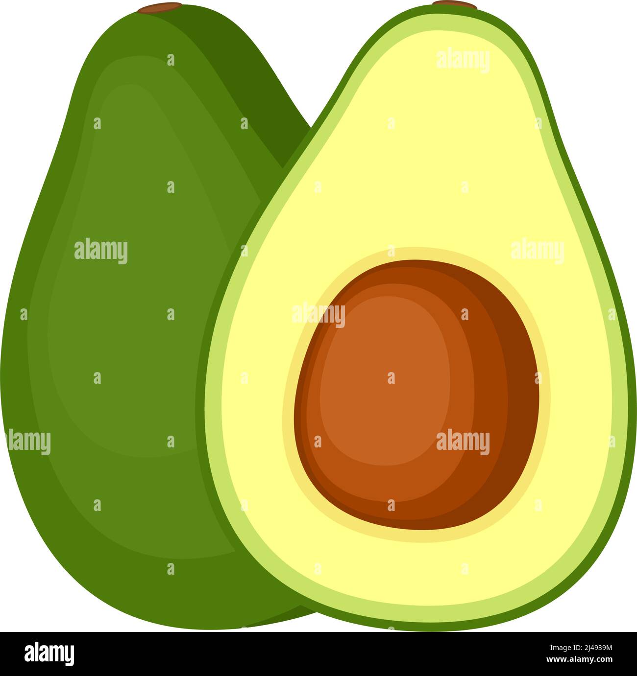 Avocado, whole fruit and half, vector illustration Stock Vector