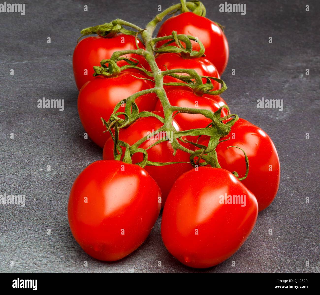 Vine Plum Tomatoes. Stock Photo