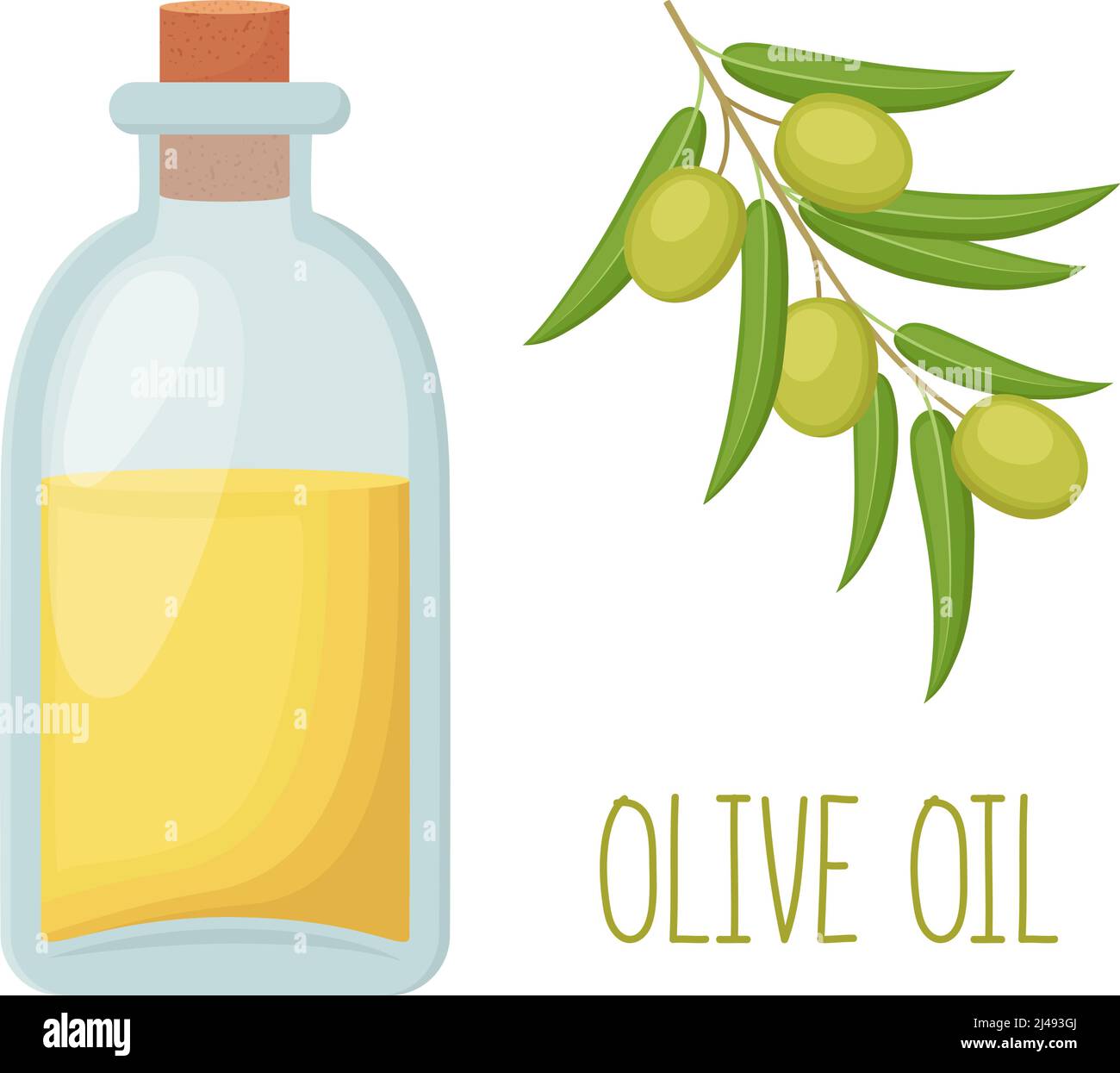 Bottle Of Olive Oil And Olive Branch Vector Illustration Stock Vector Image And Art Alamy 