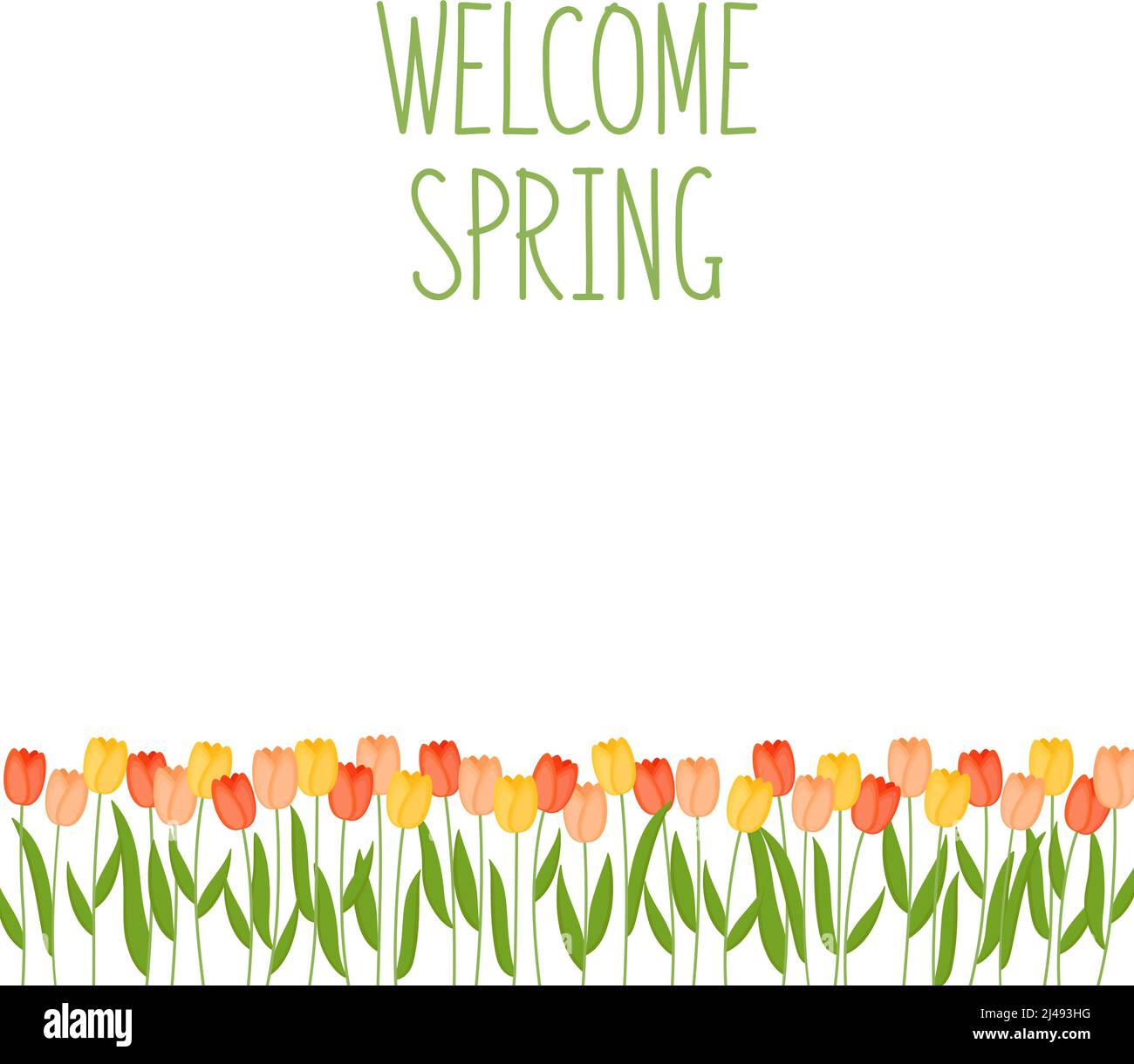 Flowers background with tulips. Banner welcome spring with handwritten ...