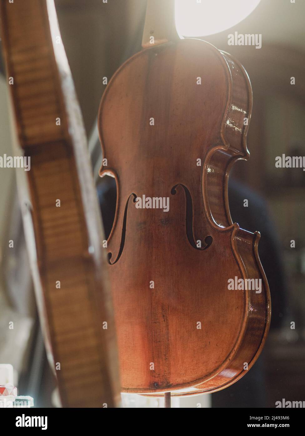 luthier varnishing a classic violin Stock Photo Alamy