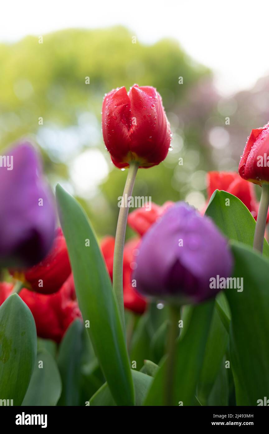 enjoy-what-my-eyes-see-stock-photo-alamy