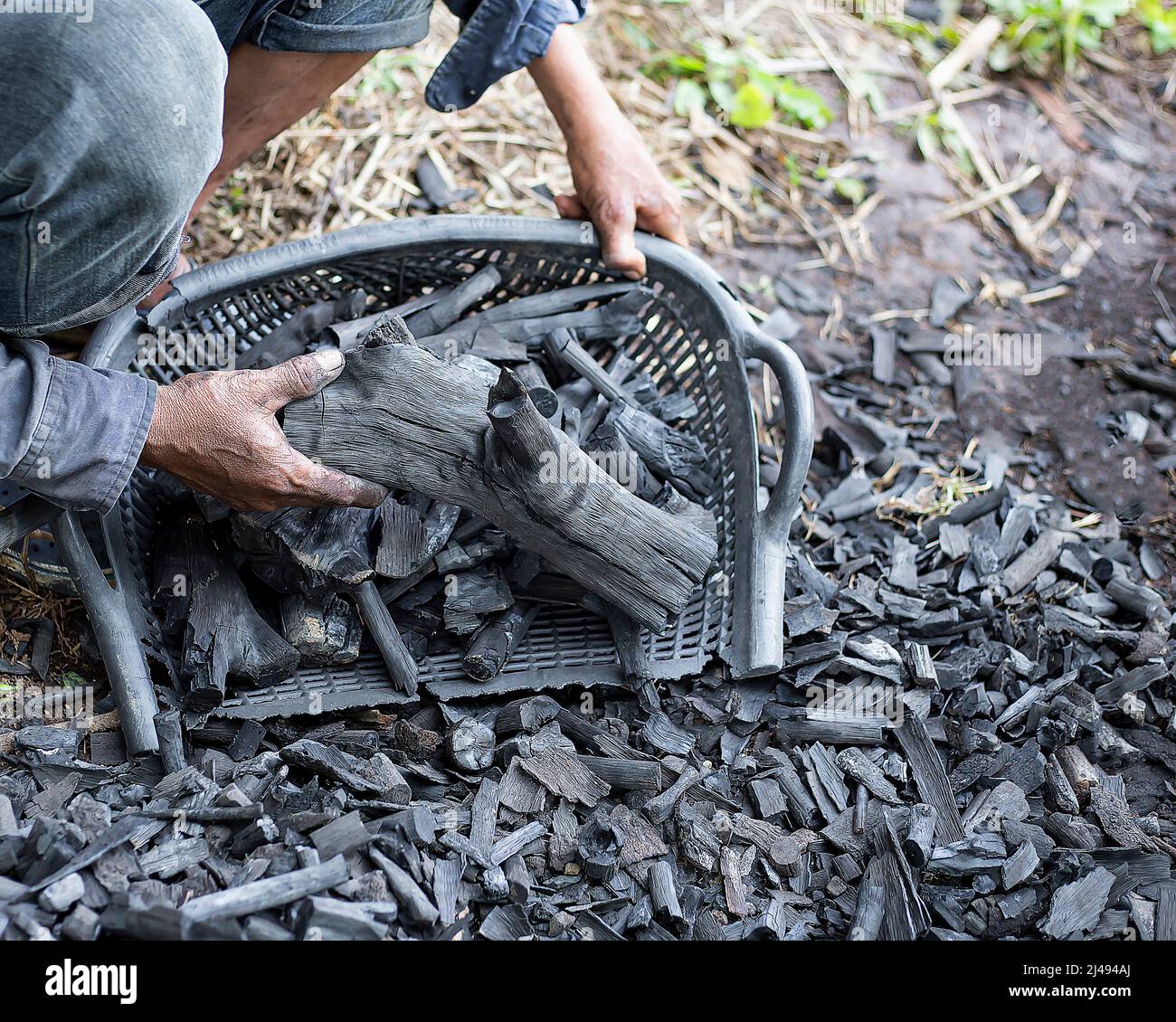 Farmers burn charcoal from wood cut off from the farm. Stock Photo