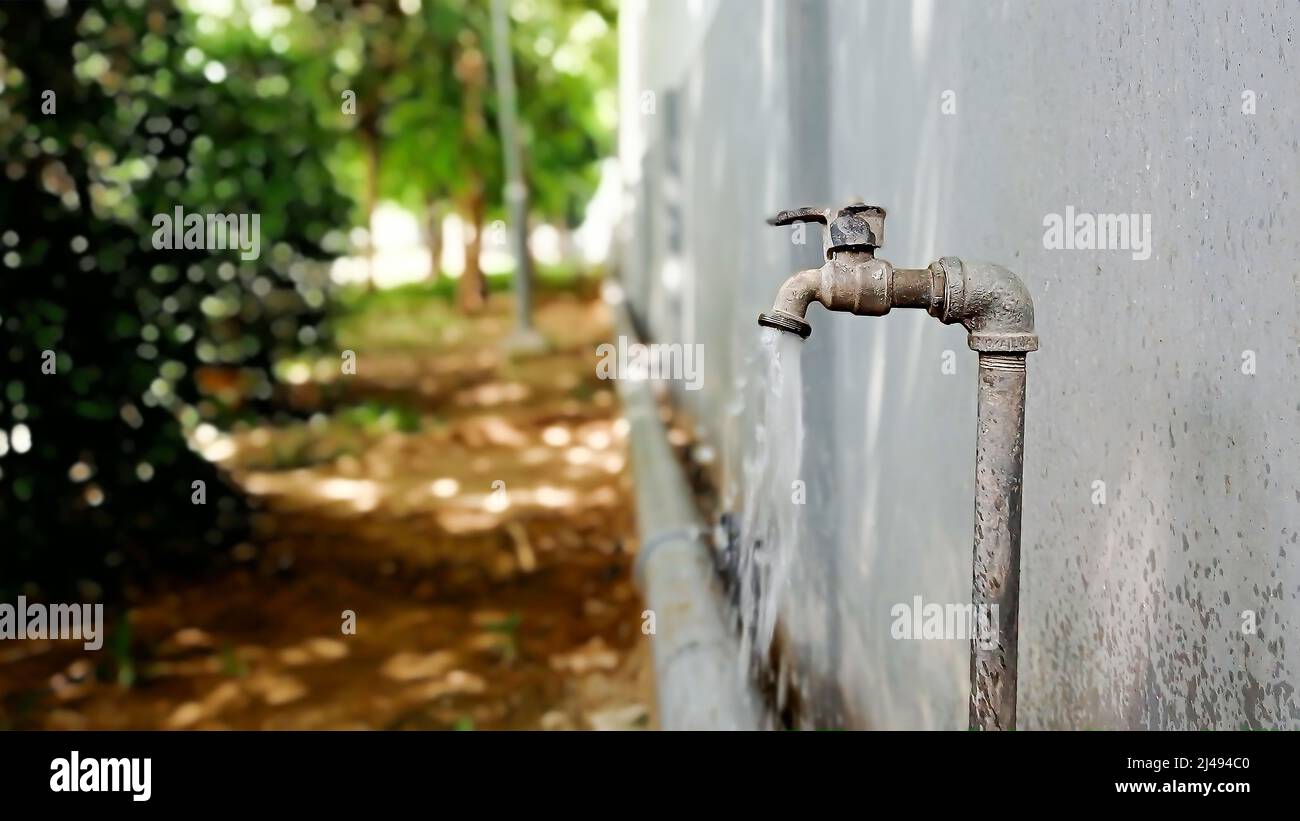 Tap garden water for use in watering plants in the garden. Stock Photo