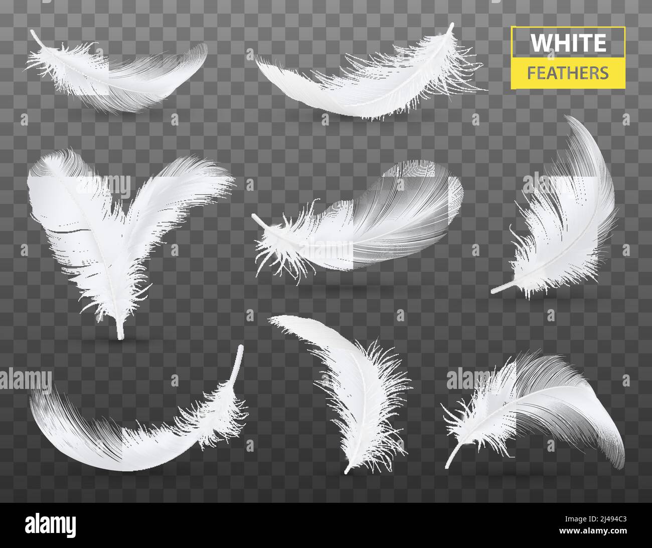 Set of isolated falling white fluffy twirled feathers on transparent ...