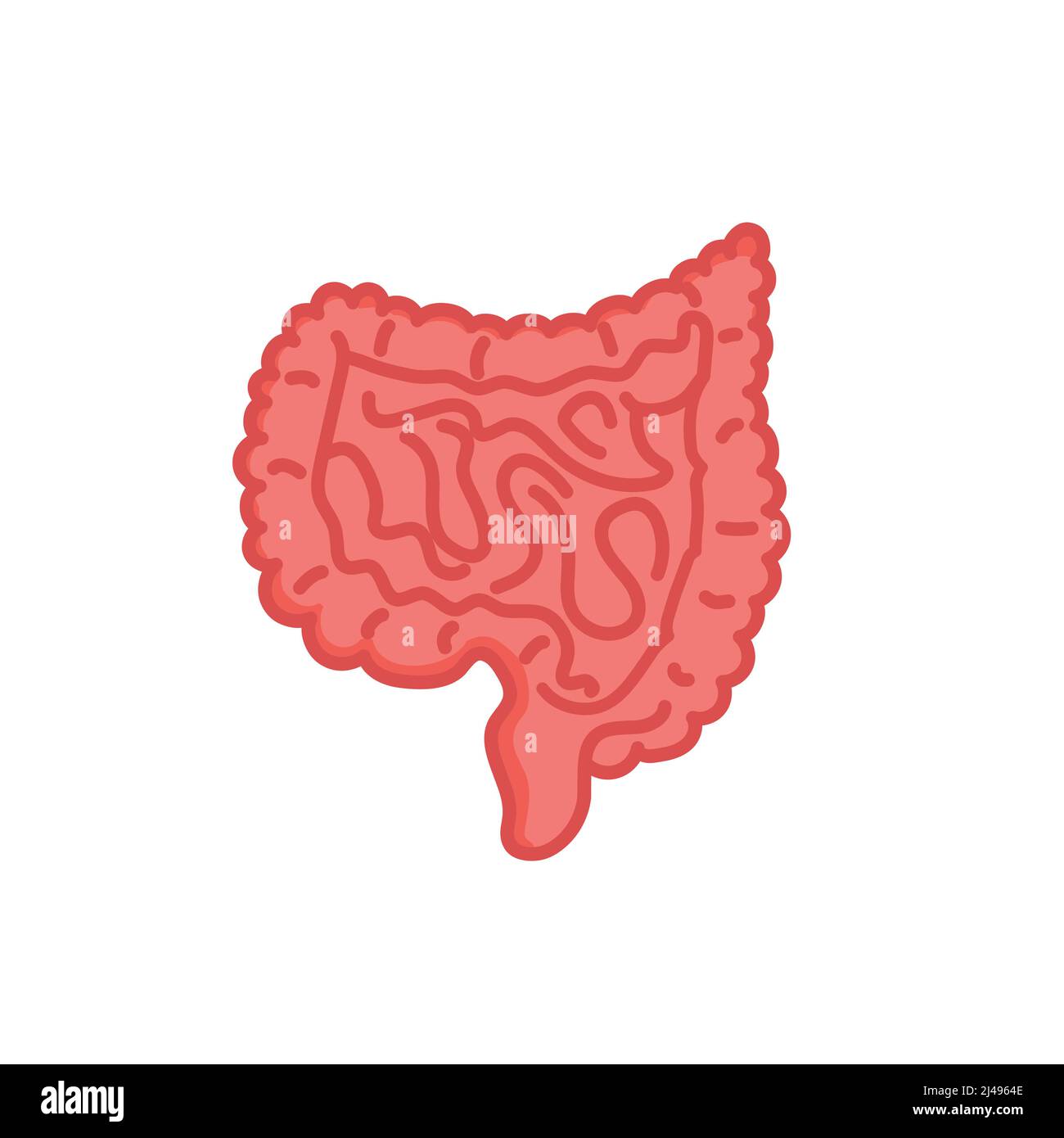Human intestines illustration isolated on white background Stock Vector