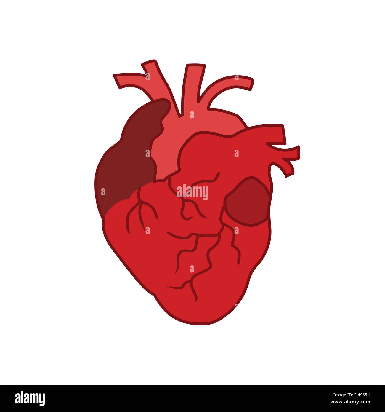 Human heart cardiac illustration isolated on white background Stock Vector