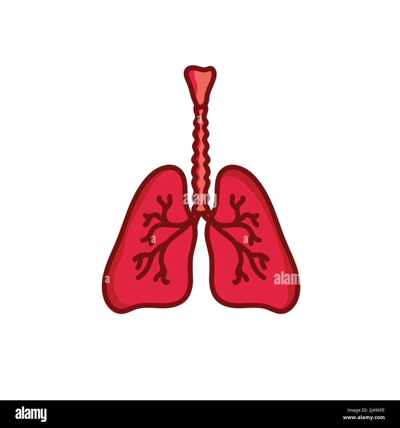 Human lungs vector illustration isolated on white background Stock Vector