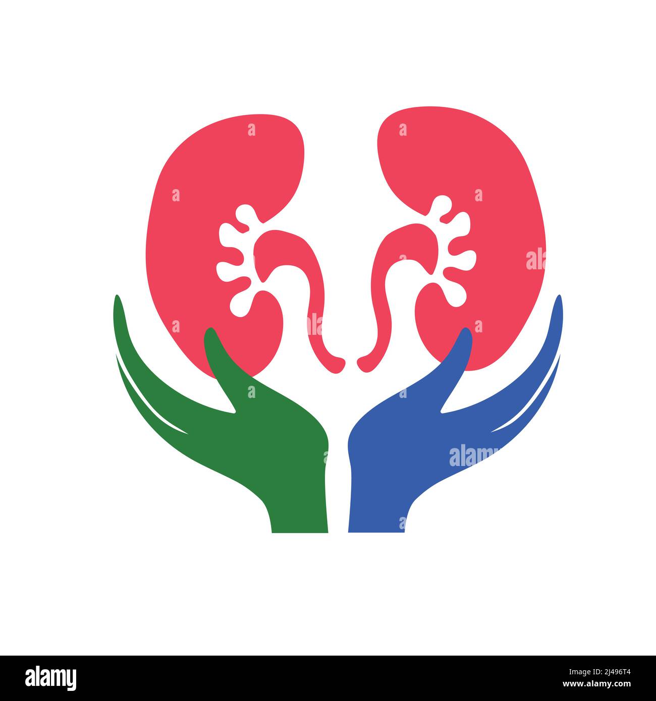 Kidney care logo icon isolated on white background Stock Vector