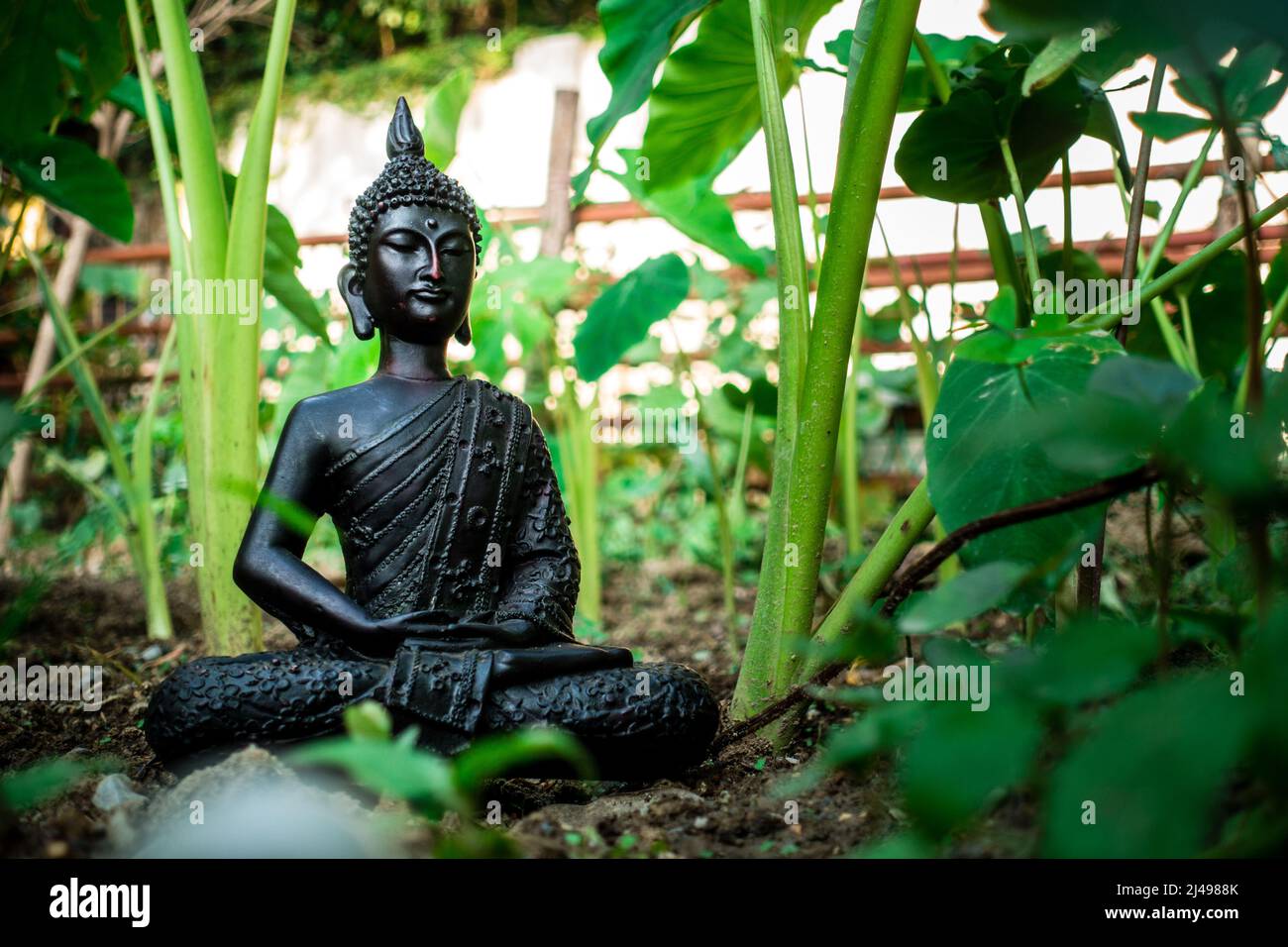 A shot of a buddha statue sitting in a lotus pose surrounded with green ...