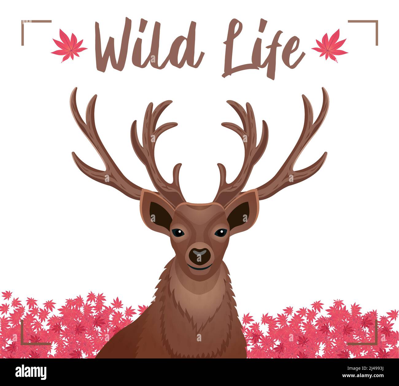 Wild life decorative poster with closeup dear head with horns antlers pink flowers background flat vector illustration Stock Vector