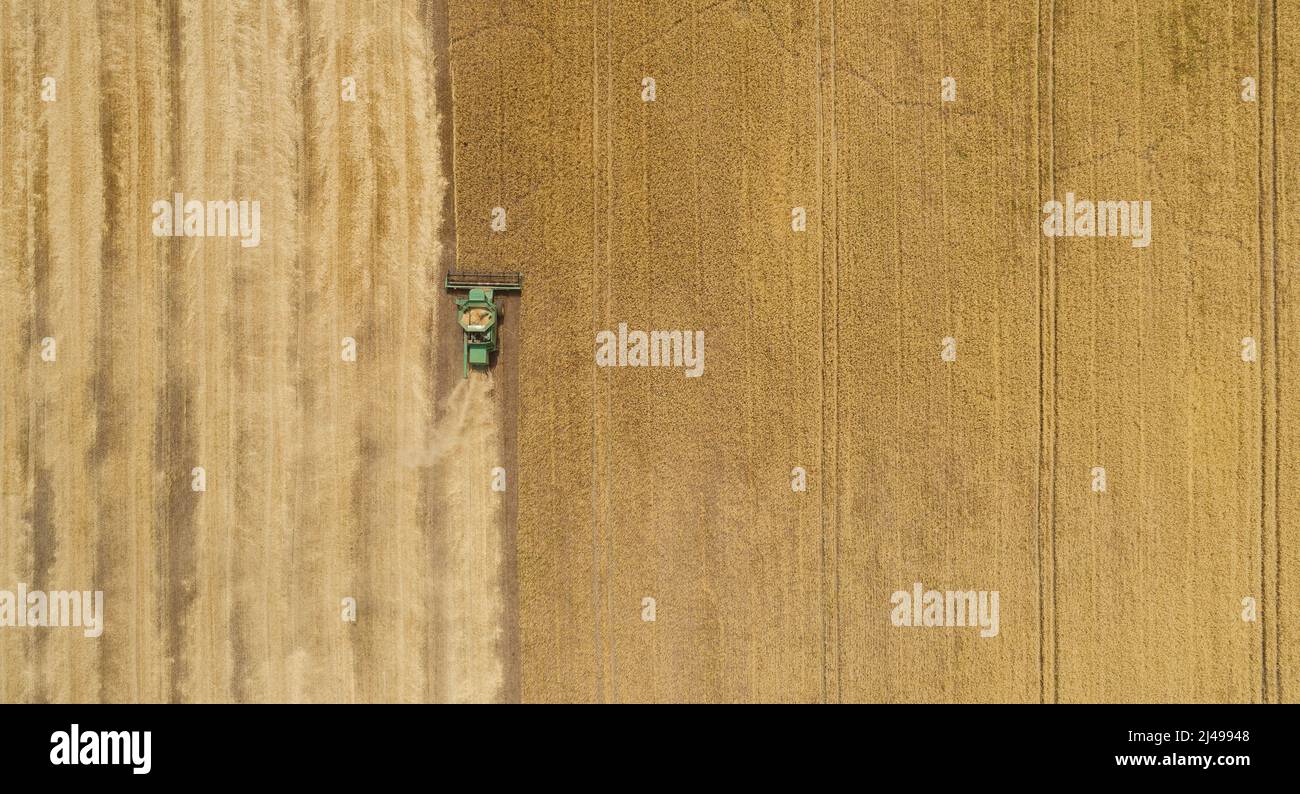 Aerial view combine harvester harvesting on the field Stock Photo - Alamy