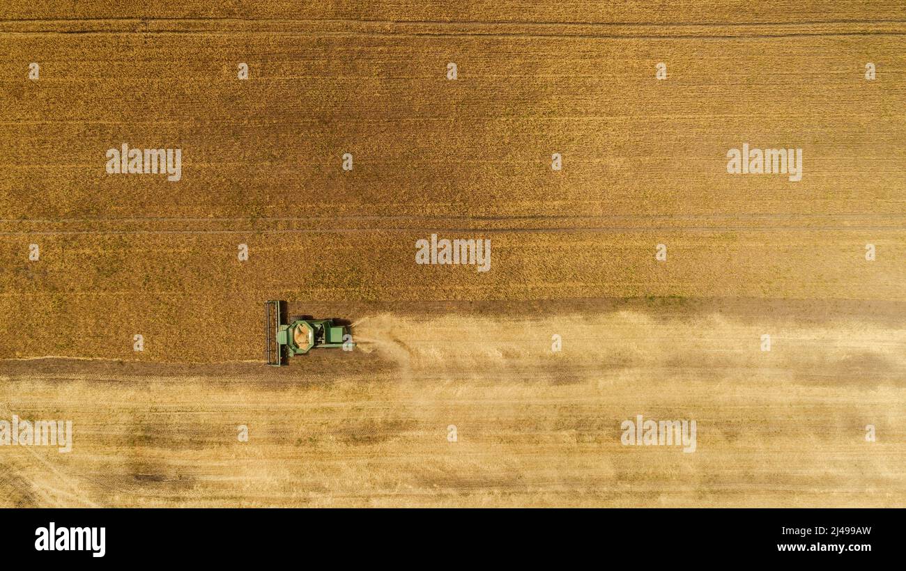 Aerial view combine harvester harvesting on the field Stock Photo - Alamy